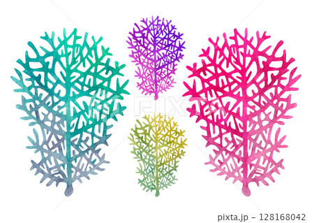Green, purple and pink fire coral. Watercolor illustration of multicolored reticulated fire coral isolated on white background for marine design, snorkeling, diving, book, art, craft, textile. Green, purple and pink fire coral. Watercolor illustration of multicolored reticulated fire coral isolated on white background for marine design, snorkeling, diving, book, art, craft, textile. 128168042