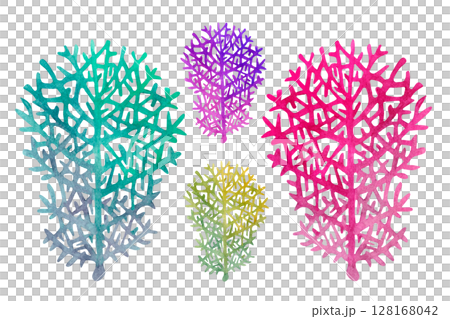 Green, purple and pink fire coral. Watercolor illustration of multicolored reticulated fire coral isolated on white background for marine design, snorkeling, diving, book, art, craft, textile. Green, purple and pink fire coral. Watercolor illustration of multicolored reticulated fire coral isolated on white background for marine design, snorkeling, diving, book, art, craft, textile. 128168042