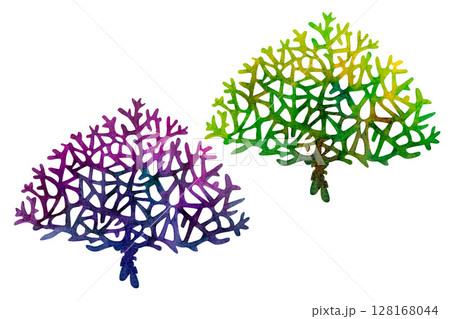 Green and purple fire coral. Watercolor illustration of multicolored reticulated fire coral isolated on white background for marine design, snorkeling, diving, book, art, craft, textile. Green and purple fire coral. Watercolor illustration of multicolored reticulated fire coral isolated on white background for marine design, snorkeling, diving, book, art, craft, textile. 128168044