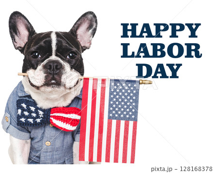 Happy Labor Day. Cute puppy and congratulatory inscription 128168378