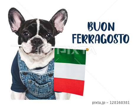 Charming puppy and Italian Flag. Studio shot 128168381