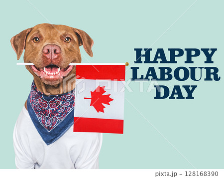 Happy Labor Day. Cute dog and congratulatory inscription 128168390