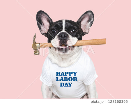 Happy Labor Day. Cute puppy and work overalls 128168396
