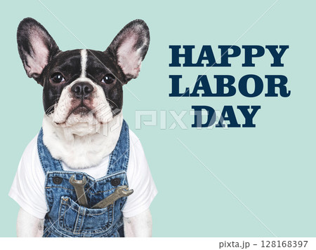 Happy Labor Day. Cute puppy and work overalls 128168397