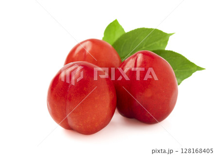 白バックのプラム 128168405