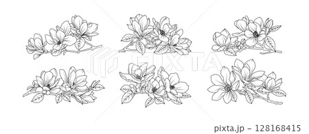 Magnolia flower arrangement line art on white background. Silhouette magnolia botanical hand drawn element for wedding, invitation frame design, vector illustration Magnolia flower arrangement line art on white background. Silhouette magnolia botanical hand drawn element for wedding, invitation frame design, vector illustration 128168415
