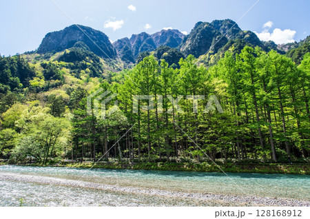 爽やか上高地! 清流梓川沿いの新緑風景 爽やか上高地! 清流梓川沿いの新緑風景 128168912