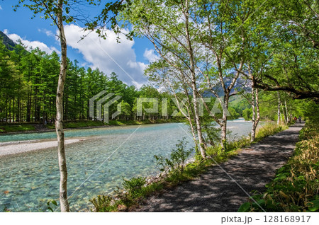 爽やか上高地！ 清流梓川と新緑の遊歩道 128168917