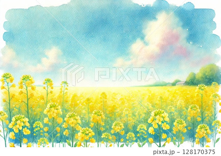菜の花畑 128170375