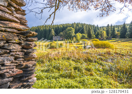 The remnants of the Konigsmuhle settlement reveal a tranquil landscape in the Ore Mountains, Czechia, surrounded by lush greenery and towering trees under a cloudy sky. 128170431