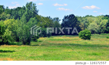 Summer landscape on the grassy bank of the river floodplain among the trees. Summer landscape on the grassy bank of the river floodplain among the trees. 128172557