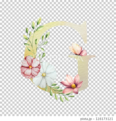Watercolor letter G with floral ornament and soft foliage, gerbera, chamomile, echinacea. Delicate hand drawn butterfly and botanical elements in elegant.Transparent PNG, perfect for wedding monogram 128173121
