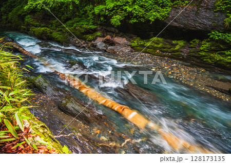 【横川渓谷】蛇石【上伊那郡辰野町】 128173135