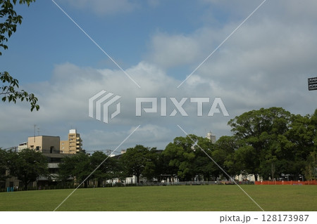 富士見公園を歩いた 富士見公園を歩いた 128173987