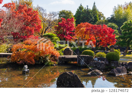 秋の兵庫県姫路市　紅葉の好古園 128174072
