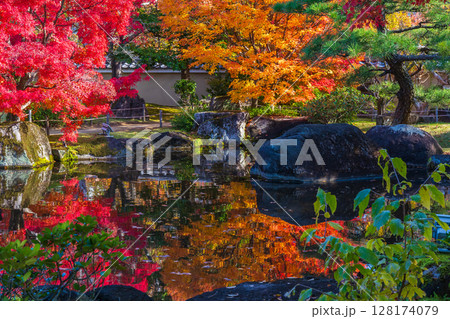 秋の兵庫県姫路市 紅葉の好古園 秋の兵庫県姫路市 紅葉の好古園 128174079