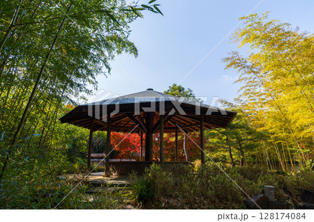 秋の兵庫県姫路市　紅葉の好古園 128174084