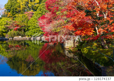 秋の兵庫県姫路市 紅葉の好古園 秋の兵庫県姫路市 紅葉の好古園 128174137