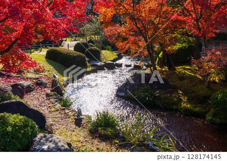 秋の兵庫県姫路市　紅葉の好古園 128174145