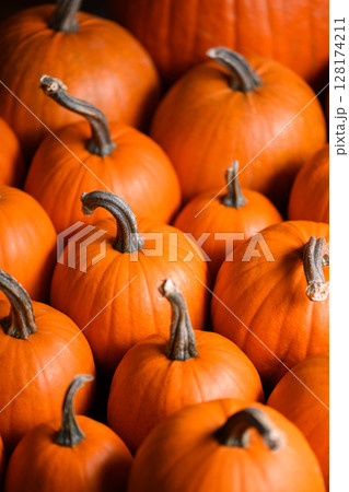 Close up of multiple orange pumpkins Close up of multiple orange pumpkins 128174211