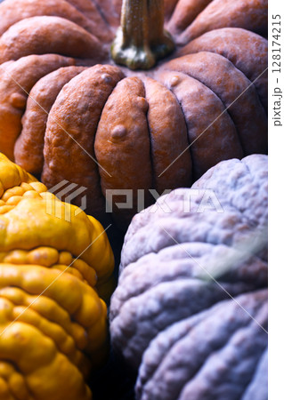 Detailed view of Black Futsu pumpkin skin in mixed tones and rough texture Detailed view of Black Futsu pumpkin skin in mixed tones and rough texture 128174215