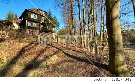 A Beautiful, Scenic Forest Path That Is Accompanied by a Charming House Amidst Lush Nature A Beautiful, Scenic Forest Path That Is Accompanied by a Charming House Amidst Lush Nature 128174348
