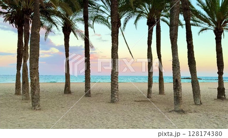 A serene beachscape with palm trees glowing softly during the beautiful sunset hour 128174380