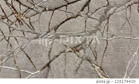 An Abstract Cracked Surface Featuring Intricate Patterns Presented in Various Gray Tones 128174410