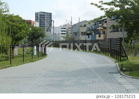 富士見公園を歩いた 128175215