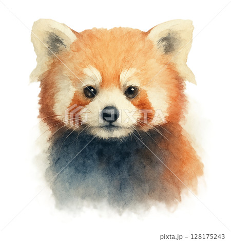レッサーパンダ　水彩画調 128175243