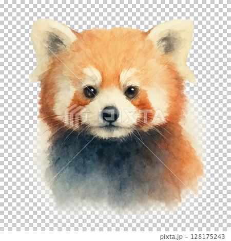 レッサーパンダ　水彩画調 128175243
