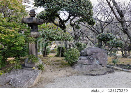 四天王寺 本坊庭園 極楽浄土の庭 四天王寺 本坊庭園 極楽浄土の庭 128175270