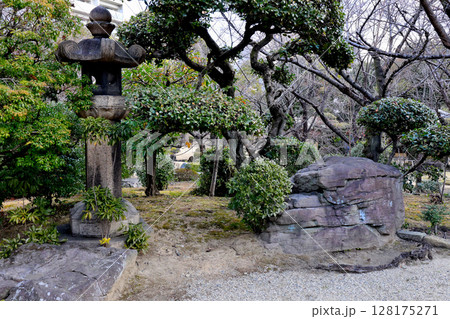 四天王寺 本坊庭園 極楽浄土の庭 四天王寺 本坊庭園 極楽浄土の庭 128175271