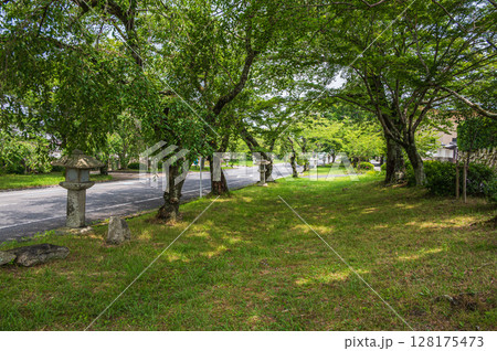 比叡山延暦寺の門前町坂本　滋賀県大津市 128175473