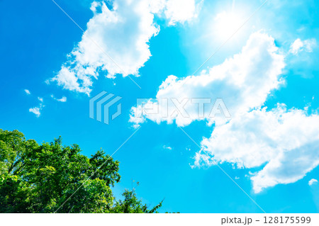 青空と雲と木立 128175599