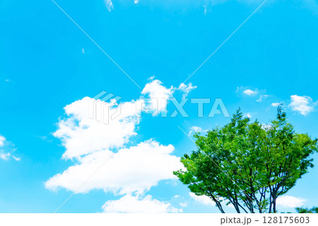 青空と雲と木立 128175603