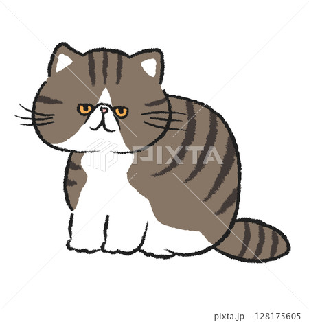 お座りする茶トラの猫/エキゾチックショートヘア お座りする茶トラの猫/エキゾチックショートヘア 128175605