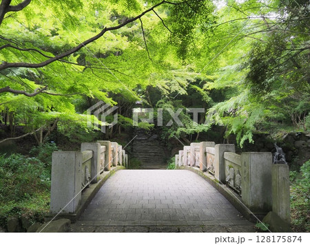阿弥陀寺参道に架かる観音橋。奥に山門(山口県防府市) 阿弥陀寺参道に架かる観音橋。奥に山門(山口県防府市) 128175874