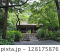 アジサイ咲く阿弥陀寺の仁王門(山口県防府市) 128175876