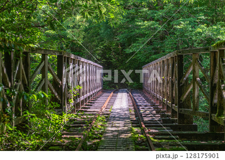 屋久島国立公園　トロッコ線路と橋梁(夏 128175901