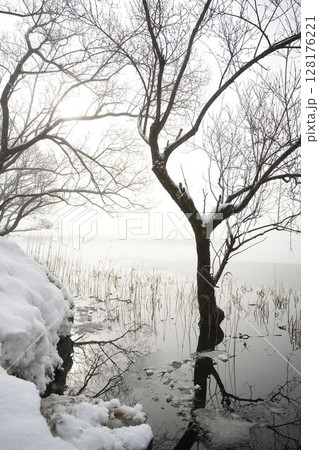 白銀の余呉湖	 128176221