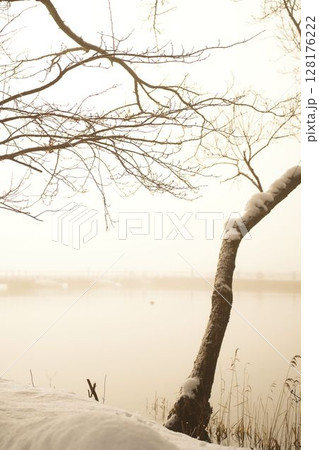霧に包まれた静かな湖畔 128176222