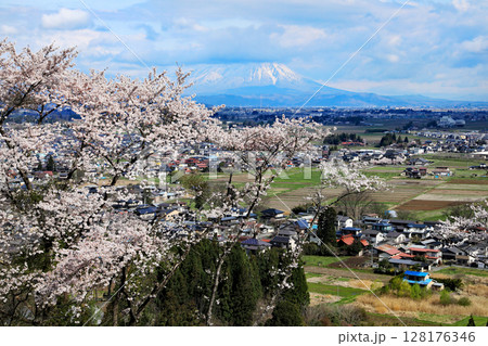 紫波城山公園の桜 128176346