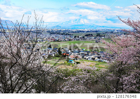 紫波城山公園の桜 紫波城山公園の桜 128176348
