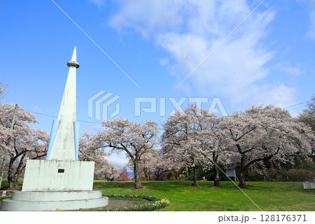 紫波城山公園の桜 128176371