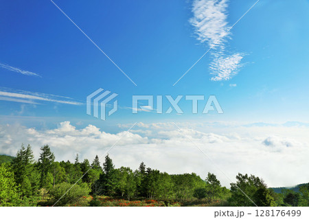 長野県 美ヶ原高原からの青空と雲海風景 長野県 美ヶ原高原からの青空と雲海風景 128176499