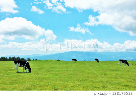 長野県　美ヶ原高原　青空の牧場風景 128176518