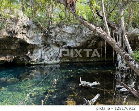 カンクンのグランセノーテ カンクンのグランセノーテ 128176912