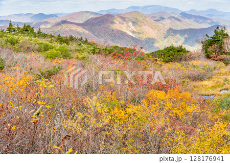 秋田 栗駒山・須川高原の紅葉 秋田 栗駒山・須川高原の紅葉 128176941