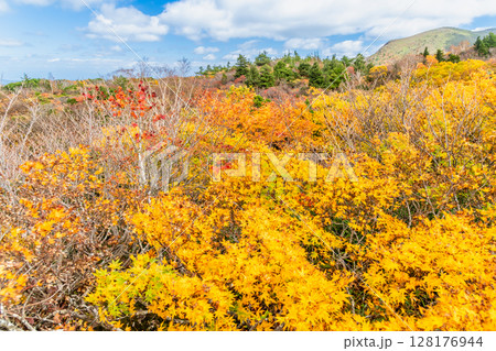 秋田 栗駒山・須川高原の紅葉 秋田 栗駒山・須川高原の紅葉 128176944